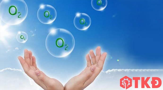 Dịch vụ cho thuê bình oxy giao tận nơi, giá cạnh tranh tại TPHCM