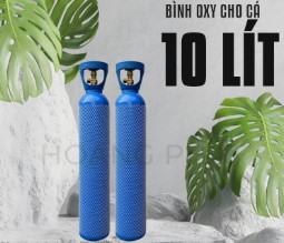 Oxy y tế là gì? Quy trình sản xuất & tiêu chuẩn an toàn tại Việt Nam | OXY SÀI GÒN 24H